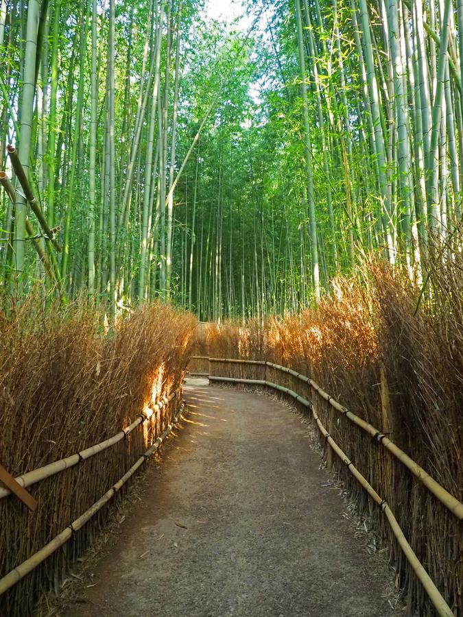 Grateful 2* Kyoto